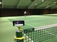 monkeystick Tennis (1008 x 756).jpg